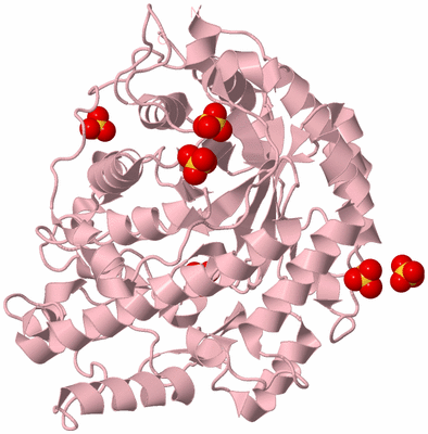 Image Biological Unit 3