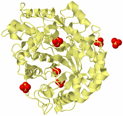 Image Biological Unit 4