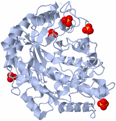 Image Biological Unit 1