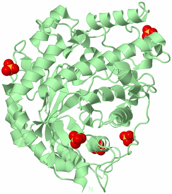 Image Biological Unit 2