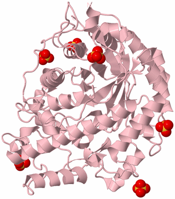 Image Biological Unit 3