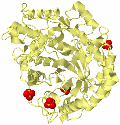 Image Biological Unit 4