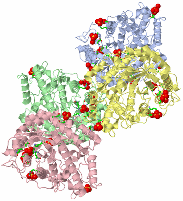 Image Asym. Unit - sites