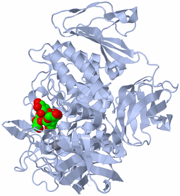 Image Biological Unit 1