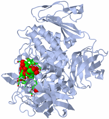 Image Biol. Unit 1 - sites