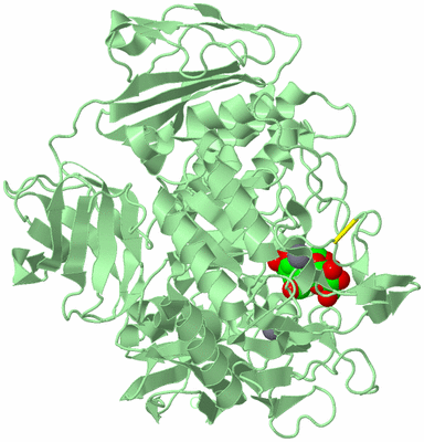 Image Biological Unit 2