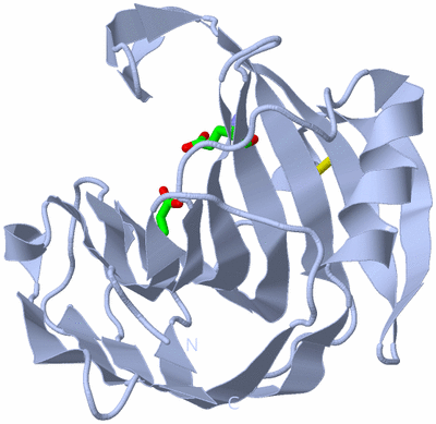 Image Biol. Unit 1 - sites