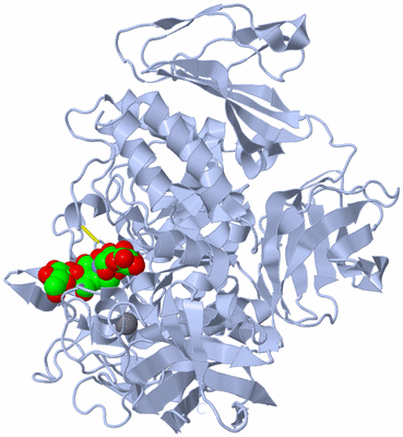 Image Biological Unit 1