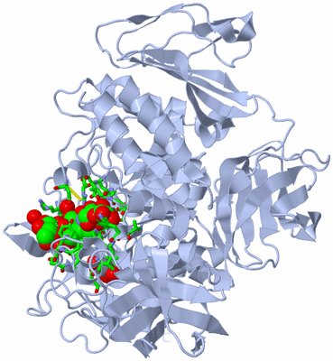 Image Biol. Unit 1 - sites