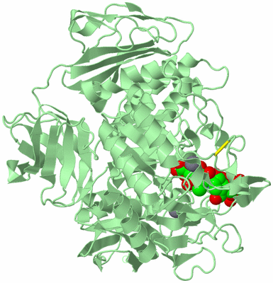 Image Biological Unit 2