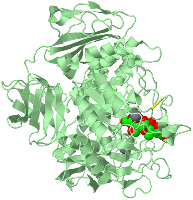 Image Biological Unit 2