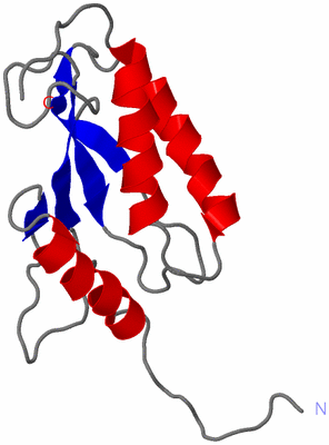 Image NMR Structure - model 1