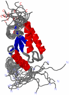 Image NMR Structure - all models