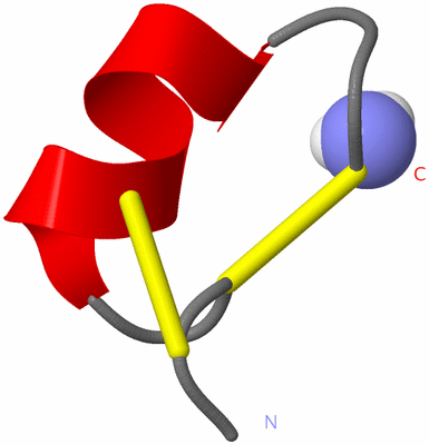 Image NMR Structure - model 1