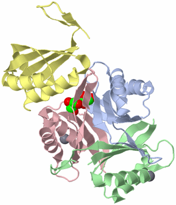 Image Asymmetric Unit