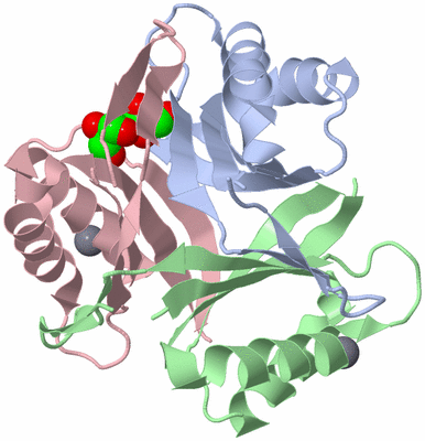 Image Biological Unit 1