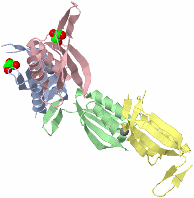 Image Biological Unit 3