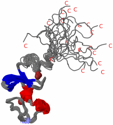 Image NMR Structure - all models