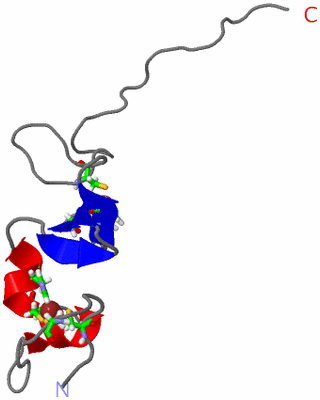Image NMR Structure - model 1, sites