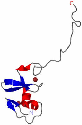 Image NMR Structure - model 1