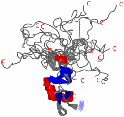 Image NMR Structure - all models