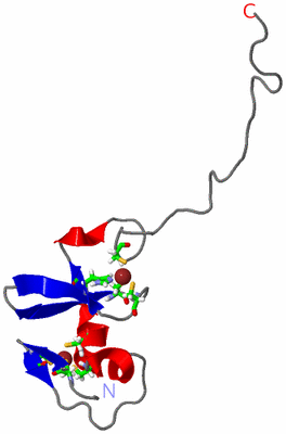Image NMR Structure - model 1, sites