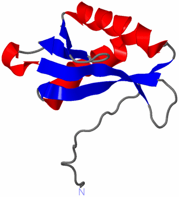 Image NMR Structure - model 1