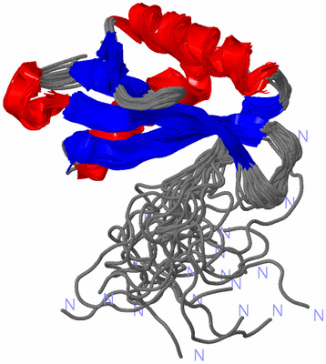 Image NMR Structure - all models