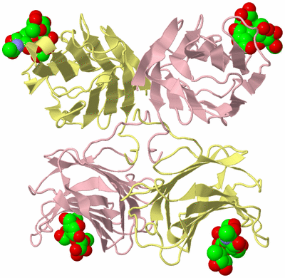 Image Biological Unit 3