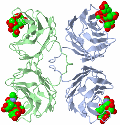 Image Biological Unit 1