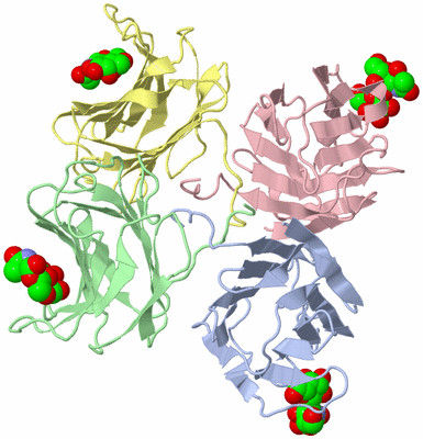 Image Asym./Biol. Unit