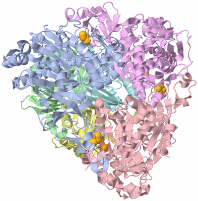 Image Asym./Biol. Unit