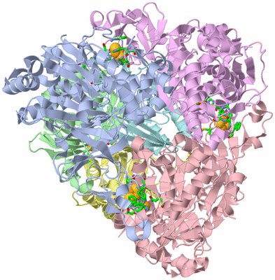 Image Asym./Biol. Unit - sites