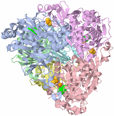 Image Asym./Biol. Unit