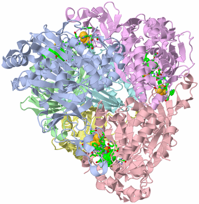 Image Asym./Biol. Unit - sites