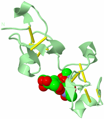 Image Biological Unit 2