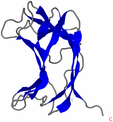 Image NMR Structure - model 1