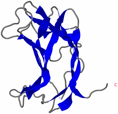 Image NMR Structure - model 1