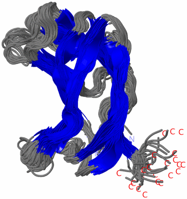 Image NMR Structure - all models