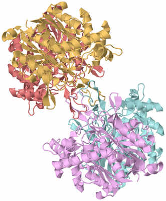 Image Biological Unit 2