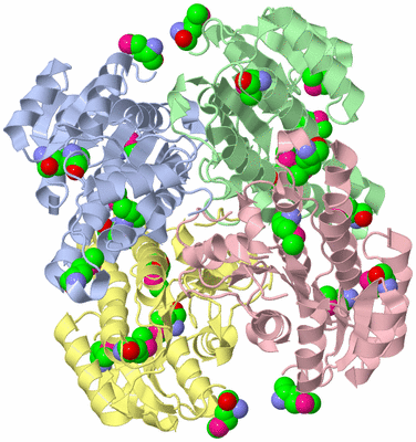 Image Biological Unit 1