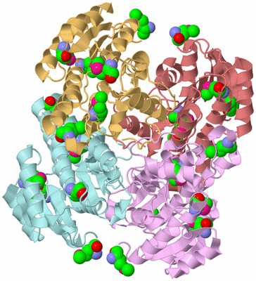 Image Biological Unit 2