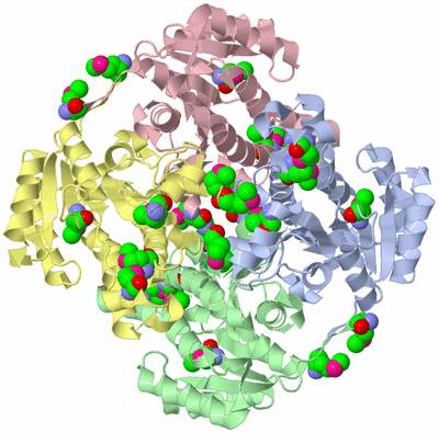 Image Asym./Biol. Unit