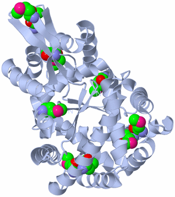 Image Biological Unit 1