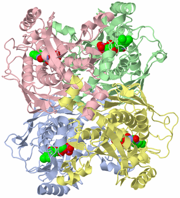 Image Asym./Biol. Unit