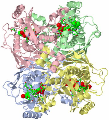 Image Asym./Biol. Unit - sites
