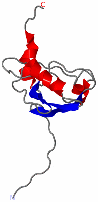 Image NMR Structure - model 1