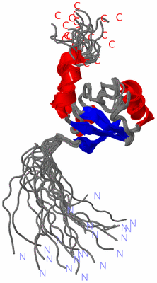 Image NMR Structure - all models