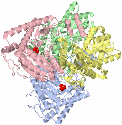 Image Asym./Biol. Unit