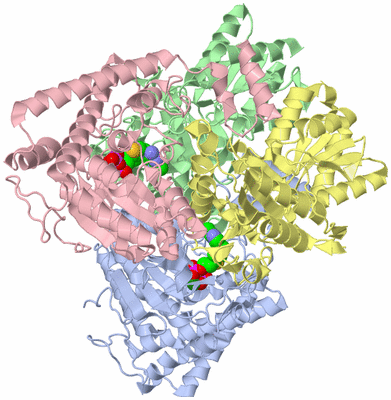 Image Asym./Biol. Unit